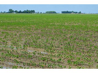 Property photo 74 - LAND AUCTION - 700+/- ACRES OFFERED IN 16 TRACTS IN ALLEN COUNTY, INDIANA